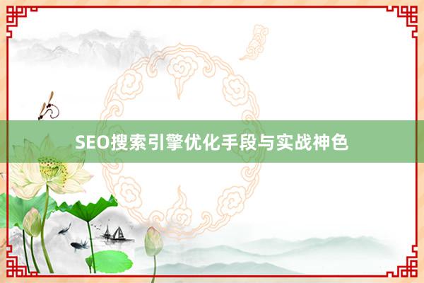 SEO搜索引擎优化手段与实战神色