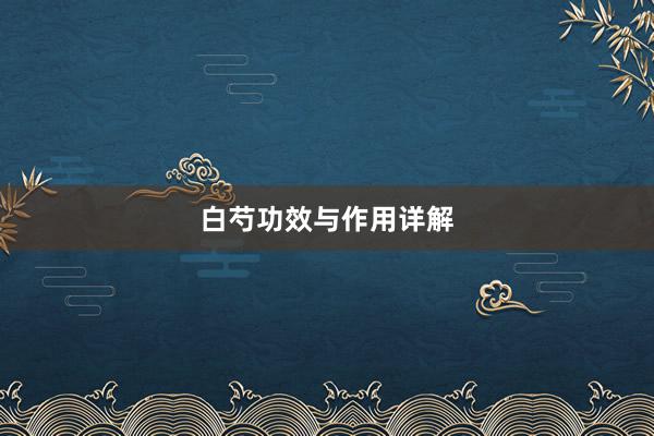 白芍功效与作用详解